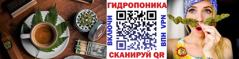 Canna-Cookies марихуана  Купить закладки  Богданович 
