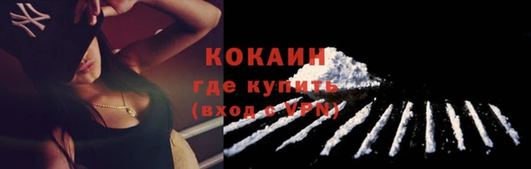 стафф Зерноград